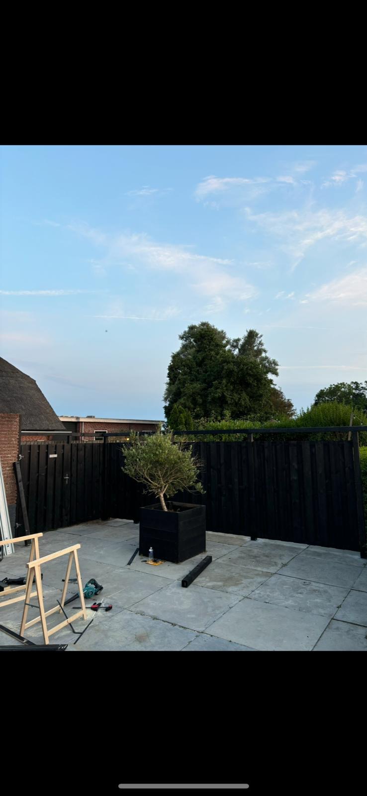 Aangelegd terras met grote tegels, zwarte schutting en olijfboom in plantenbak